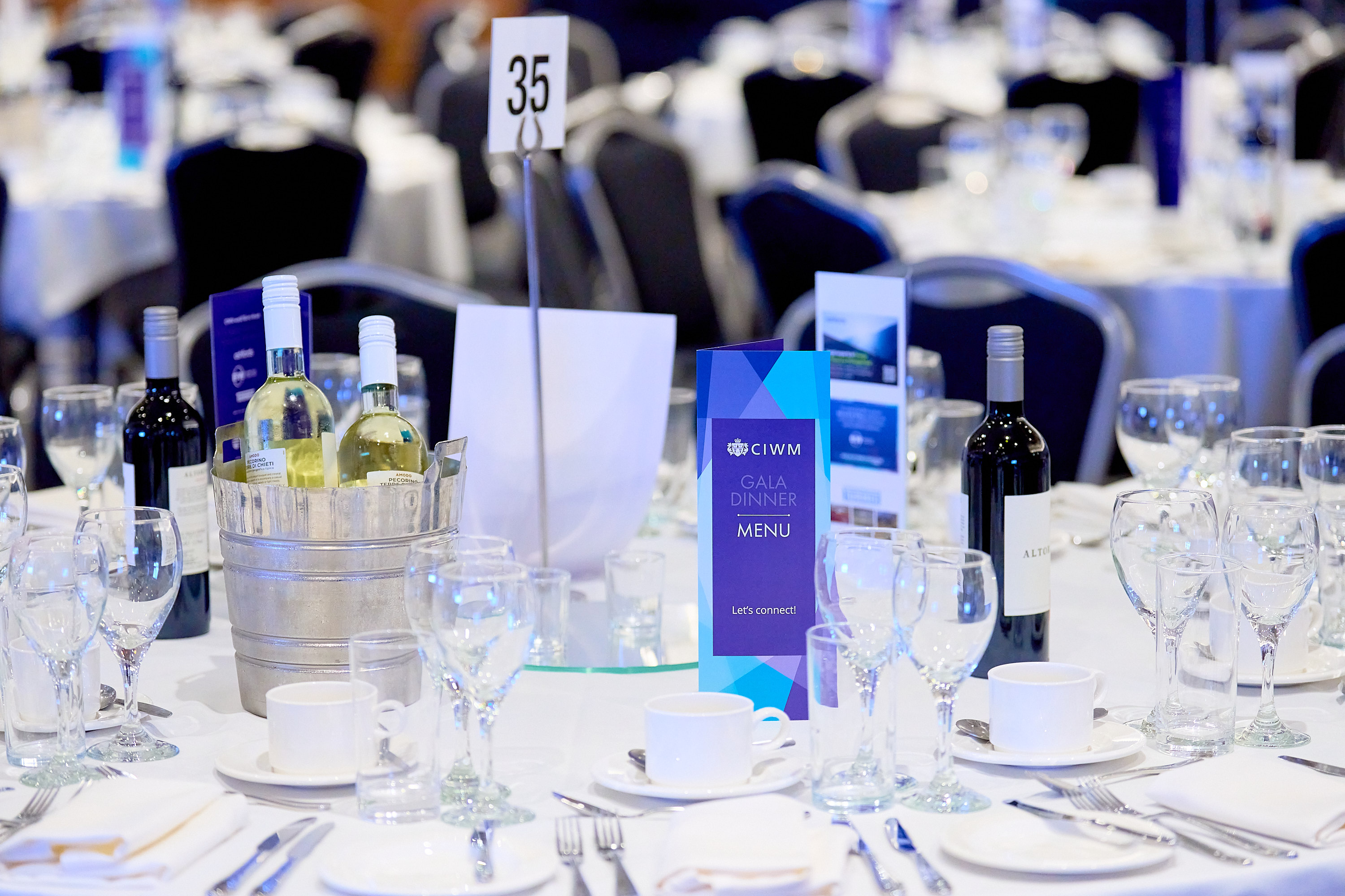 Elegant Setting